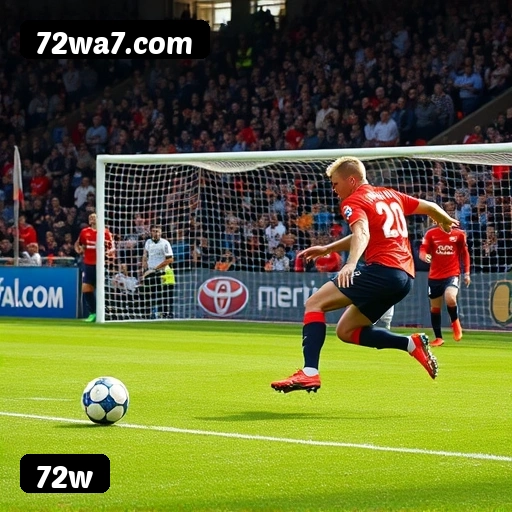 Níveis do programa VIP da 72w